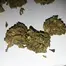 Patient Image of Noidecs T18 Delahaze Medical Cannabis