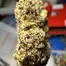 Patient Image of 4C Labs Premium ATD T29 Alaskan Thunder Medical Cannabis