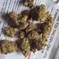 Patient Image of SafriCanna NC T23 Nag Champa Medical Cannabis