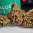 Patient Image of Aurora® CanVALUE T22 Delahaze Medical Cannabis