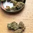 Patient Image of CannFX Stratus T20 Wappa Medical Cannabis