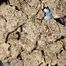 Patient Image of Mamedica® HSO T24 High Society Medical Cannabis
