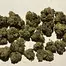 Patient Image of IPS RR T32 Rainbow Runtz Medical Cannabis