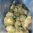 Patient Image of Together Pharmacy Andromeda T19 Kush Kush Medical Cannabis