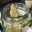 Patient Image of Peace Naturals® SLF T32 Sonic Lemon Fuel Medical Cannabis