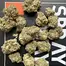 Patient Image of Mamedica® Organic SMO T25 Sherb Master OG Medical Cannabis