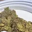 Patient Image of Lumir® KSC T26 Kush Cookies Medical Cannabis