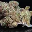 Patient Image of Curaleaf® HSR T21 High Silver Medical Cannabis