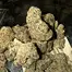 Patient Image of CannFX Mochi T28 Mochi Gelato Medical Cannabis