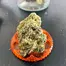 Patient Image of Grow® Pharma HJ T16 Herijuana Medical Cannabis