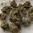 Patient Image of 4C Labs Value TRG T26 Tropicana Gold Medical Cannabis