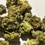 Patient Image of Glass Pharms® CC T28 Chem de la Chem Medical Cannabis