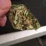 Patient Image of Aurora® T22 Delahaze Medical Cannabis