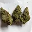 Patient Image of Aurora® Pedanios LA T20 L.A. Confidential Medical Cannabis