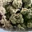 Patient Image of Althea™ T25 Powdered Donuts Medical Cannabis