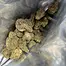 Patient Image of Peace Naturals® T27 Blue Thai Medical Cannabis