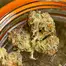Patient Image of Kasa Verde WCK T29 White Cookies Medical Cannabis