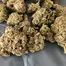 Patient Image of IPS PAN T24 Pandora Medical Cannabis