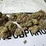 Patient Image of Green Joÿ MFL T26 Mango Fuel Medical Cannabis