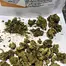 Patient Image of Tilray® T25 Gorilla Glue #4 Medical Cannabis