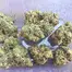 Patient Image of Green Karat SD T28-T29 Supreme Diesel Medical Cannabis