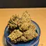 Patient Image of Dalgety HSOR T25 High Society (Oracle) Medical Cannabis