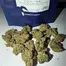 Patient Image of Mamedica® RP T28 Rainbow Pie Medical Cannabis