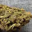 Patient Image of Curaleaf® PWE T11:C11 Pennywise Medical Cannabis