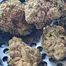 Patient Image of Cake & Caviar Organic CFC T27 Coffee Cake Medical Cannabis