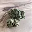 Patient Image of Canopy Growth® LSK T16 Lemon Skunk Medical Cannabis