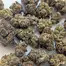 Patient Image of IPS GG T24 Grape Galena Medical Cannabis