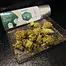 Patient Image of Khiron GK T24 Green Knight Medical Cannabis
