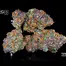Patient Image of The Plug Medical Group T13 Zen Berry Medical Cannabis