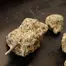 Patient Image of 4C Labs Core MAC T27 Miracle Alien Cookies Medical Cannabis