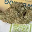 Patient Image of Huala AMS T24 Alien Mints Medical Cannabis