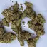 Patient Image of 4C Labs Craft Select PCK T29 Pucker-Up Medical Cannabis