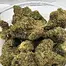 Patient Image of Lot420™ OC T27 Orange Cake Medical Cannabis
