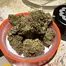 Patient Image of Superseed CGO CHZ T30 Congo Creek Haze Medical Cannabis