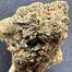 Patient Image of Green Joÿ MGC-L T10:C15 Mango Cheese Medical Cannabis