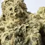 Patient Image of Upstate® BP T21 Berry Cream Puff Medical Cannabis