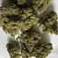 Patient Image of Redecan BC T25 Beach Crasher Medical Cannabis