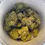Patient Image of Grow® Pharma HJ T18 Herijuana Medical Cannabis