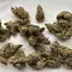 Patient Image of Dalgety KBQ T27 Korean BBQ Medical Cannabis