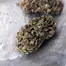 Patient Image of Adven® Cura-18 T27 OG Kush Medical Cannabis