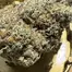 Patient Image of Green Karat PV T30 Pavé S1 Medical Cannabis