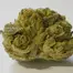 Patient Image of EcoCann Access MTB T19 Motorbreath Medical Cannabis