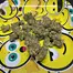 Patient Image of Tyson 2.0 FF T26 Frozen Fist Medical Cannabis