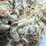 Patient Image of Cannada Craft DI T28 Dante's Inferno #8 Medical Cannabis