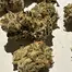Patient Image of IPS BA T32 Black Amber Medical Cannabis