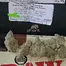 Patient Image of Phant SGU T25 Strawberry Guava Medical Cannabis